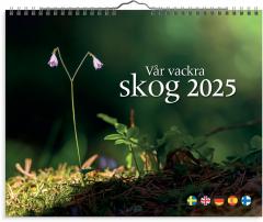  Väggkalender 2025 Vår vackra skog