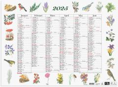  Vggkalender 2025 Stora Naturalmanackan